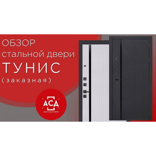 Стальная дверь Тунис. Видеообзор