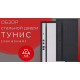 Стальная дверь Тунис. Видеообзор