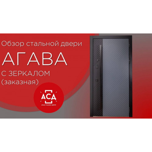 Заказная дверь Агава с зеркалом. Видеообзор
