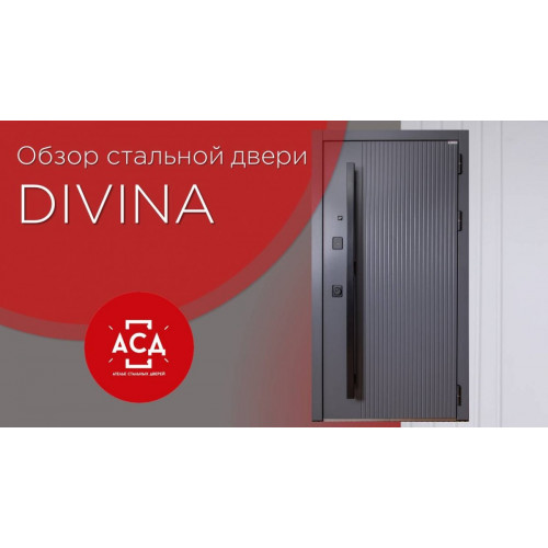 Divina - заказная стальная дверь. Видеообзор