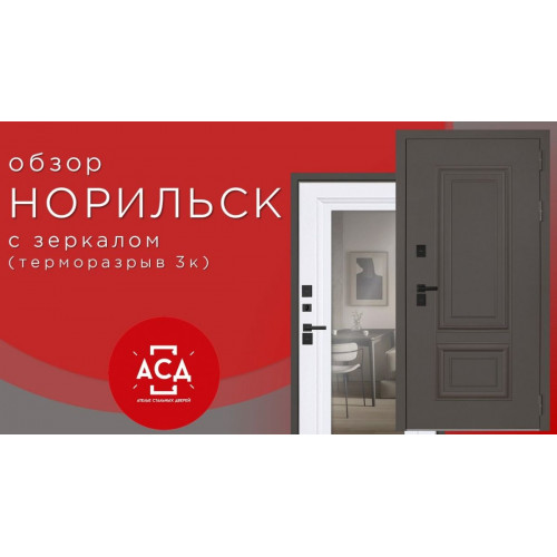 Стальная дверь "Норильск" с зеркалом (терморазрыв 3к)