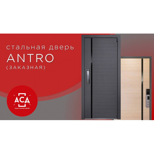 Antro - заказная стальная дверь