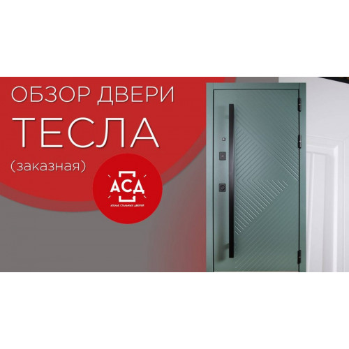 Тесла. Видеообзор заказной входной двери