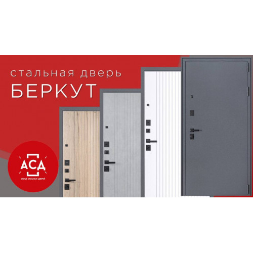Стальная дверь "Беркут"