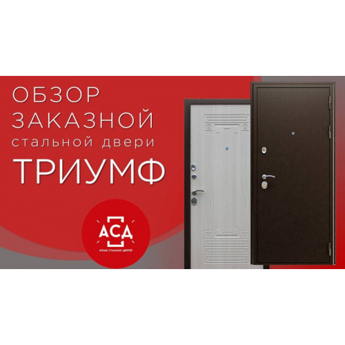 ТРИУМФ заказная стальная дверь